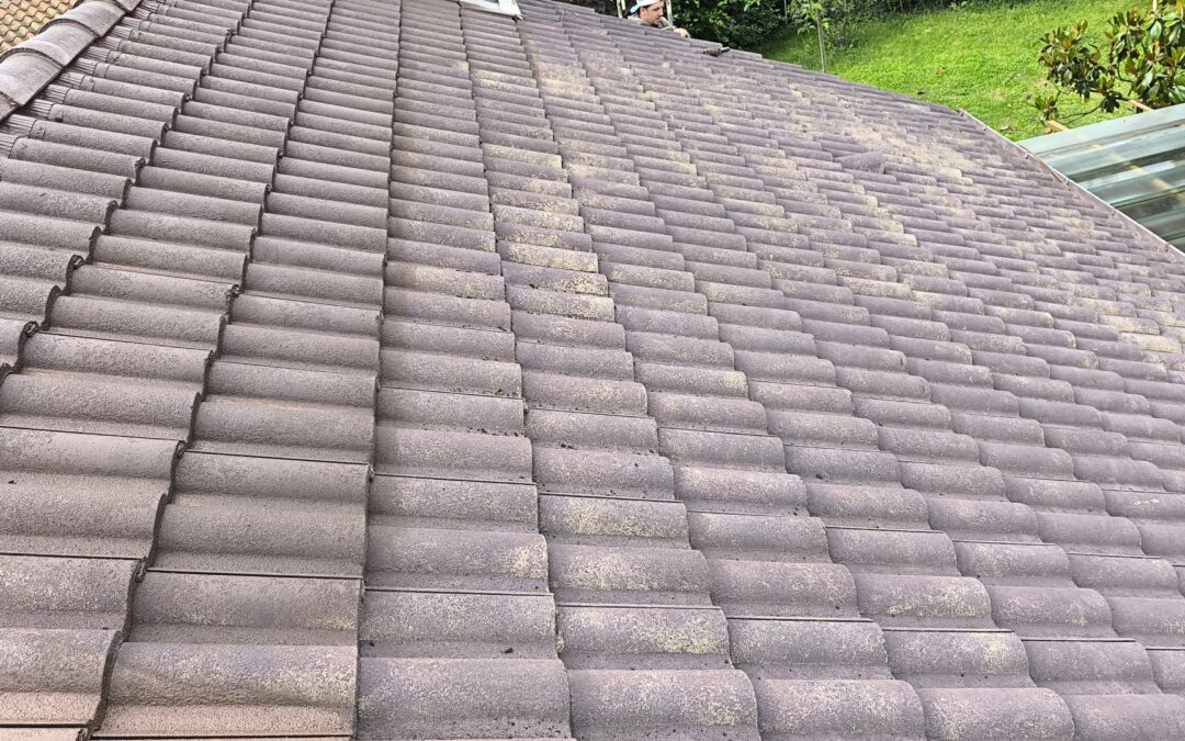 Toiture en tuiles encrassee avant nettoyage et traitement
